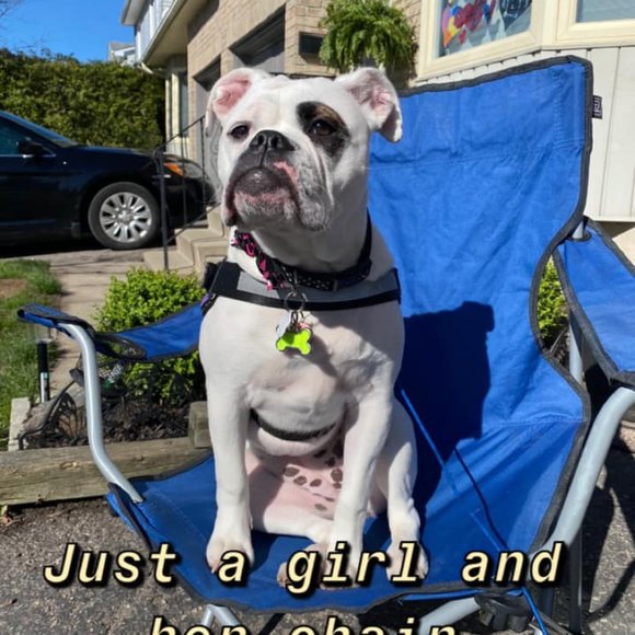 Meet your Posher, Casey - Picture 2 of 6